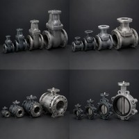 Corps de soupape moulé sur mesure |   Fonderie de précision en fonte ductile, acier moulé WCB et acier inoxydable CF8M |   Flanges usinées CNC