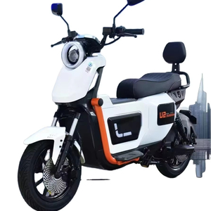 Bicicletta Elettrica Modello <span class=keywords><strong>U2</strong></span> con Freno a Disco per Esportazione, Scooter Elettrico di Grandi Dimensioni dal Produttore - Product Image 1