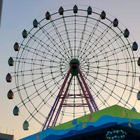 Équipement d'amusement de fête foraine de l'usine chinoise Manèges de grandes roues de haute qualité