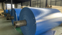 Rouleau de bâche en toile réutilisable haute résistance tissé Ripstop résistant à l'eau pour l'utilisation agricole de parapluie d'auvent