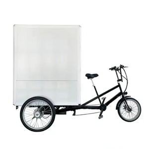 <span class=keywords><strong>Remorque</strong></span> à plateau plat 850 watts, <span class=keywords><strong>vélo</strong></span> cargo électrique robuste, Bakfiets <span class=keywords><strong>pour</strong></span> livraison, tricycle à moteur à 3 roues à vendre - Product Image 2