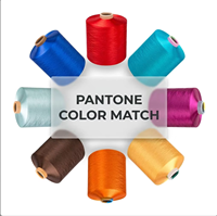 Fil fantaisie en polyester DTY 150D/48F teint en masse, plus de 100 couleurs, écologique, pour couture et broderie, vente en gros d'usine, sans MOQ