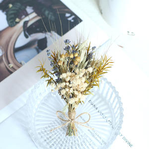 Pequeño Ramo de <span class=keywords><strong>Flores</strong></span> Secas en Tonos Pastel para Centros de Mesa de Boda, Ramos de Mano y Accesorios para Fotos - Product Image 2