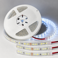 Bande lumineuse LED flexible SMD2835 120LEDs/M DC12V 24V IP67 étanche pour l'éclairage architectural extérieur et paysager