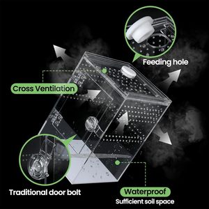 Custom Designed Rectangular Acrylic Reptile Enclosures Available Various Sizes for Reptiles <b>Small</b> Pets. - Product Image 3