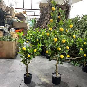 Vente <span class=keywords><strong>en</strong></span> gros d'arbres artificiels de citronniers de haute qualité <span class=keywords><strong>en</strong></span> <span class=keywords><strong>pot</strong></span>, plantes d'intérieur et d'<span class=keywords><strong>extérieur</strong></span> avec un aspect naturel durable <span class=keywords><strong>en</strong></span> plastique PE écologique - Product Image 1