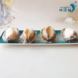 Cheap Price Fresh Seafood Dried Abalone Frozen Abalone With Good Service