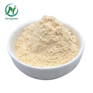 Newgreen Supply estratto vegetale di alta qualità lecitina di girasole in polvere