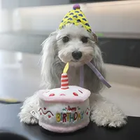 Großhandel Haustier-Hunde-Geburtstagsparty-Dekorationen Quietschspielzeug Lustiges Plüsch-Hunde-Geburtstagstorten-Spielzeug