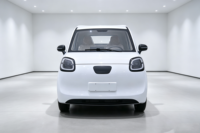 Mini pick-up électrique avec benne, camion électrique 4 roues pour adultes, pour livraison, logistique agricole et urbaine, 3000W