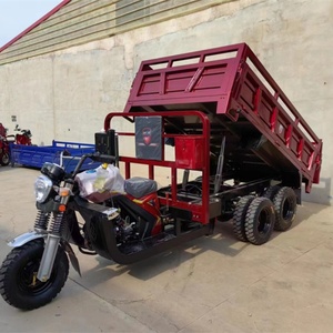 Venta Directa de Fábrica, Motocicleta Eléctrica de Carga de 300 CC, Triciclo para Adultos, Motocicleta Económica de 9 Ruedas - Product Image 2