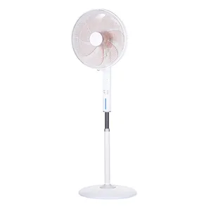 China Electric Fan Supplier Modern Three Gears Standing Fan with Timer