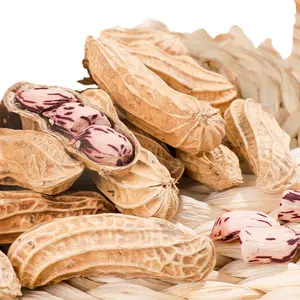 20 quilos de novo produto maduro da Academia de Ciências Agrárias amendoim colorido com conchas amendoim selvagem colorido Yunna