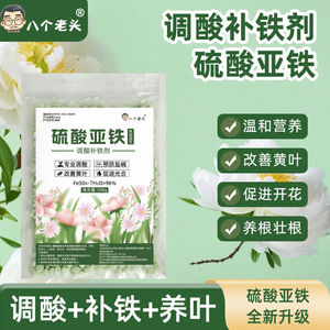 Fertilizante Granular de Sulfato Ferroso 100g de Liberación Controlada para Plantas Verdes - Product Image 2
