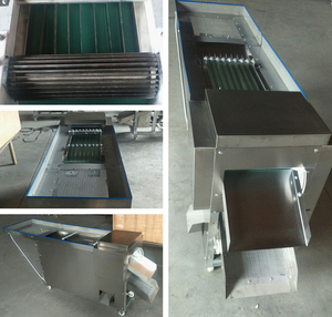 Máy Cắt Vòng Tiêu Máy Loại Bỏ Hạt Ớt - Product Image 6