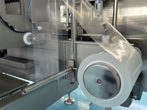 Nhà Máy Giá nước muối giải pháp IV túi làm đầy và đóng nắp dòng (100ml-1000ml) - Product Image 5