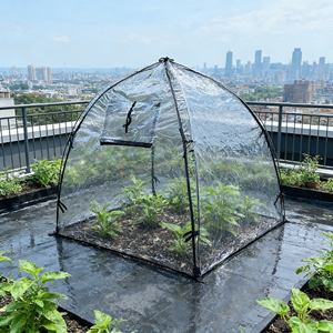 Vente chaude Tente de plantation <span class=keywords><strong>en</strong></span> PVC transparent Imperméable <span class=keywords><strong>Abri</strong></span> extérieur transparent pour la croissance des plantes Serre de <span class=keywords><strong>jardin</strong></span> - Product Image 2