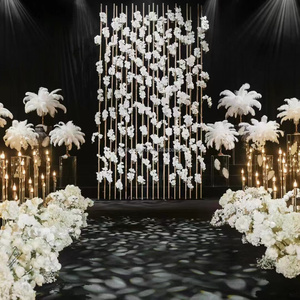 Đẹp Trang Trí Đám Cưới Đà Điểu Lông Cây Với Màu Sắc Khác Nhau Chất Lượng Tốt Cho Thiết Kế Trung Tâm Đám Cưới - Product Image 2