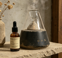 Diffuseur d'huiles essentielles en verre rafraîchissant avec parfum frais, atomiseur ultrasonique sans alcool, cadeau haut de gamme pour la maison