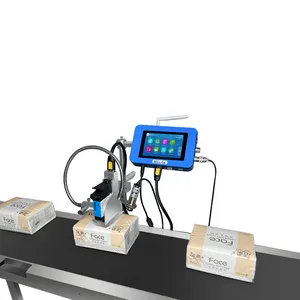 TIJ Online-Tintenstrahldrucker automatischer Chargennummerndrucker industrielle Karton-Codiermaschine mit Produktionslinie für MFG, EXP