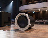 Haut-parleur de plafond professionnel pour subwoofer 10 pouces/100V/8 ohms/480W, coque ABS, grille en fer thermolaquée pour audio commercial intérieur KTV