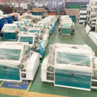 Usine de traitement du maïs de 20 tonnes par jour, ligne de production complète de mouture de farine, roulement de moteur haute efficacité à faible coût pour
