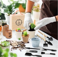 Kit de démarrage de bonsaï écologique de 46 pièces, boîte en bois, outils pour plantes succulentes, tapis de rempotage de plantes, personnalisable pour la maison