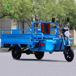 Triciclo eléctrico de carga pesada, motocicleta agrícola de <span class=keywords><strong>3</strong></span> <span class=keywords><strong>ruedas</strong></span> con motor de 1000W, rickshaw de 48V para pasajeros y carga, certificado EEC - Product Image 2