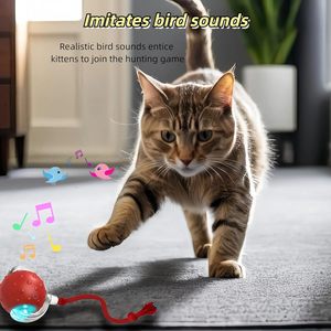 Jouets interactifs pour chats, balle pour chats d'intérieur, roule rapidement sur le tapis, jouets pour chats qui font du bruit et s'activent à la mouvement (rouge) - Product Image 3