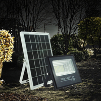 Mini projecteur solaire LED IP65 avec construction en aluminium, télécommande, garantie de 2 ans pour l'éclairage de sécurité du jardin