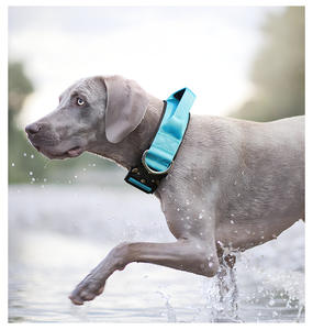 Collar y Correa Táctica de Nailon a Prueba de Explosiones para Perro, Venta al por Mayor - Product Image 6