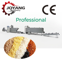Machine d'extrusion de riz artificiel personnalisée, ligne de fabrication de riz nutritionnel entièrement automatique