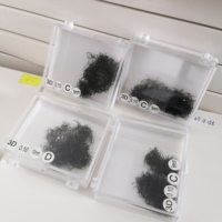 Extensión de pestañas con ventilador de volumen Promade negro mate Base puntiaguda Ventiladores prefabricados sueltos 3D 5D 0,07 Ventiladores sueltos Extensión de pestañas