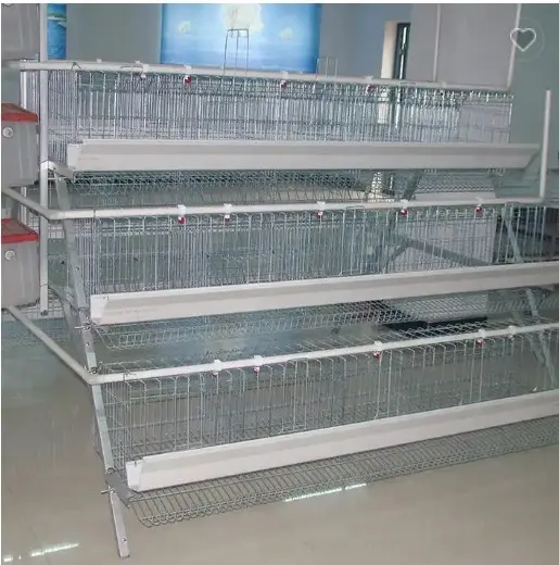 A Type Chicken Cage Egg Laying Automatic Poultry Farm Equipments For Chickens