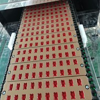 Ligne de production industrielle de bonbons gélifiés à grande vitesse / Usine de dépose de gelée avec moules personnalisés