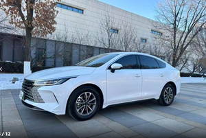 Voitures <span class=keywords><strong>d</strong></span>'<span class=keywords><strong>occasion</strong></span> BYD Destroyer05 2024 Édition Honneur DM-i 55KM Hybride rechargeable compact de luxe Voitures <span class=keywords><strong>d</strong></span>'<span class=keywords><strong>occasion</strong></span> <span class=keywords><strong>pas</strong></span> chères de Chine Carros Usados - Product Image 3