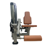 Machine professionnelle de musculation pour extensions et flexions des jambes, à charge par plaques, en métal, pour exercices de fitness en salle de sport