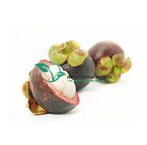 Polvo instantáneo de <span class=keywords><strong>caña</strong></span> de azúcar, para bebidas - Product Image 6