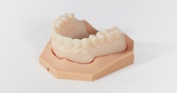 Contoh 2 lembar film pelepas transparan AF untuk model gigi printer 3D resin UV Elegoo Creality Anycubic Flashforge Phrozen
