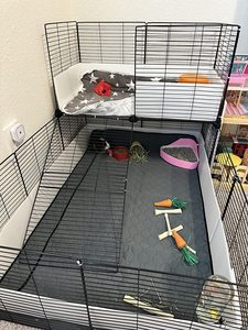 XXL Guinea Pig & Hedgehog C&C Cage 6x2 Foldable Classic Luxury Large Animal Cage - Product Image 3