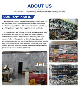 مضخة حقن وقود الديزل JELXEL 2641A312 276-8398 2768398 291-5919 2915919 لـ cat 320d - Product Image 3