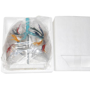 Modèle transparent de segment pulmonaire de l'Université Médicale Navale - Modèle anatomique pour l'étude du système respiratoire et de l'anatomie pulmonaire - Product Image 4