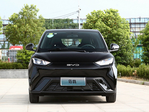 BYD นกนางนวลสีชมพู2025ระยะยาวความเร็วสูง EV bydseagull - Product Image 2