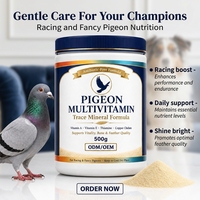 Pigeon Trace Mélange de minéraux et de vitamines 500g en poudre pour pigeons de course, d'élevage et d'habillage – Complément alimentaire quotidien – Support ODM