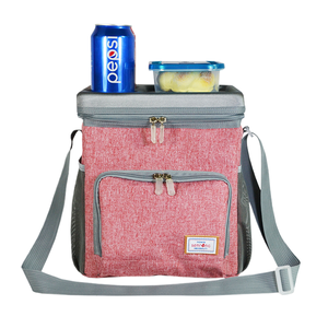 Bolsa Térmica para Almuerzo, Impermeable, de Poliéster, 9L, Bolsa de Picnic Suave para Viajes, con Logotipo Personalizado, para Entrega de Alimentos - Product Image 1