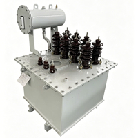 Transformador de excitación eléctrico horizontal sumergido en aceite, unidad de excitación elevadora dedicada, 300 kVA, alta precisión 1%