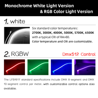 Bande lumineuse LED flexible en silicone RVB avec contrôle DMX 512, température de couleur personnalisée, DC 24V, lumière néon pixel pour hôtel intérieur