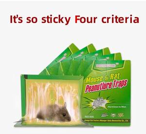 Hot Selling Pest Control Ratten kleber falle Karton verpacktes Klebe papier für effektiven Maus-und Skorpion <span class=keywords><strong>killer</strong></span> - Product Image 3