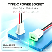 Conector de Panel Tipo C LN-010 con Indicador LED Dual Rojo y Verde, Conector de Cable de Alimentación USB-C Hembra, Certificación CE RoHS EMC