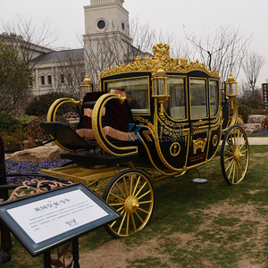 Móvil elegante eléctrico Royal Horse Buggy Prince William Carro de boda precio bajo princesa Royal Horse Carriage en venta - Product Image 6